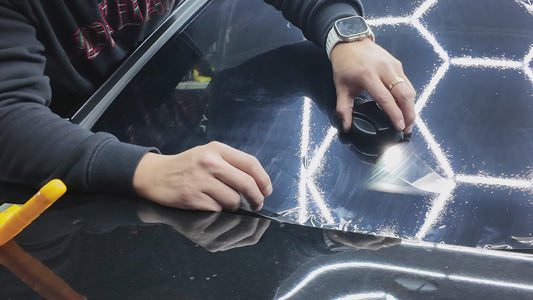 Professional Magnetic Tint Light